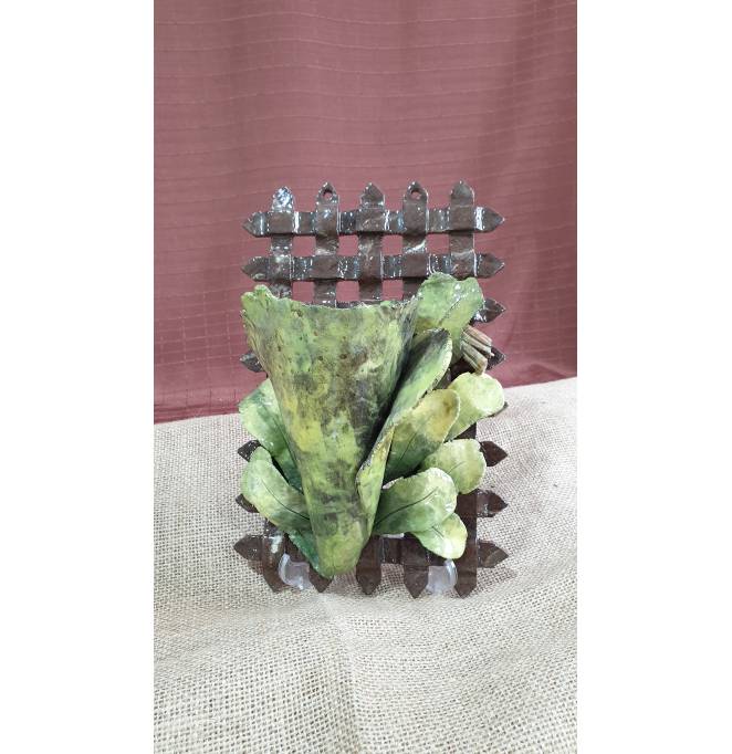 Paku Pakis On The Fence